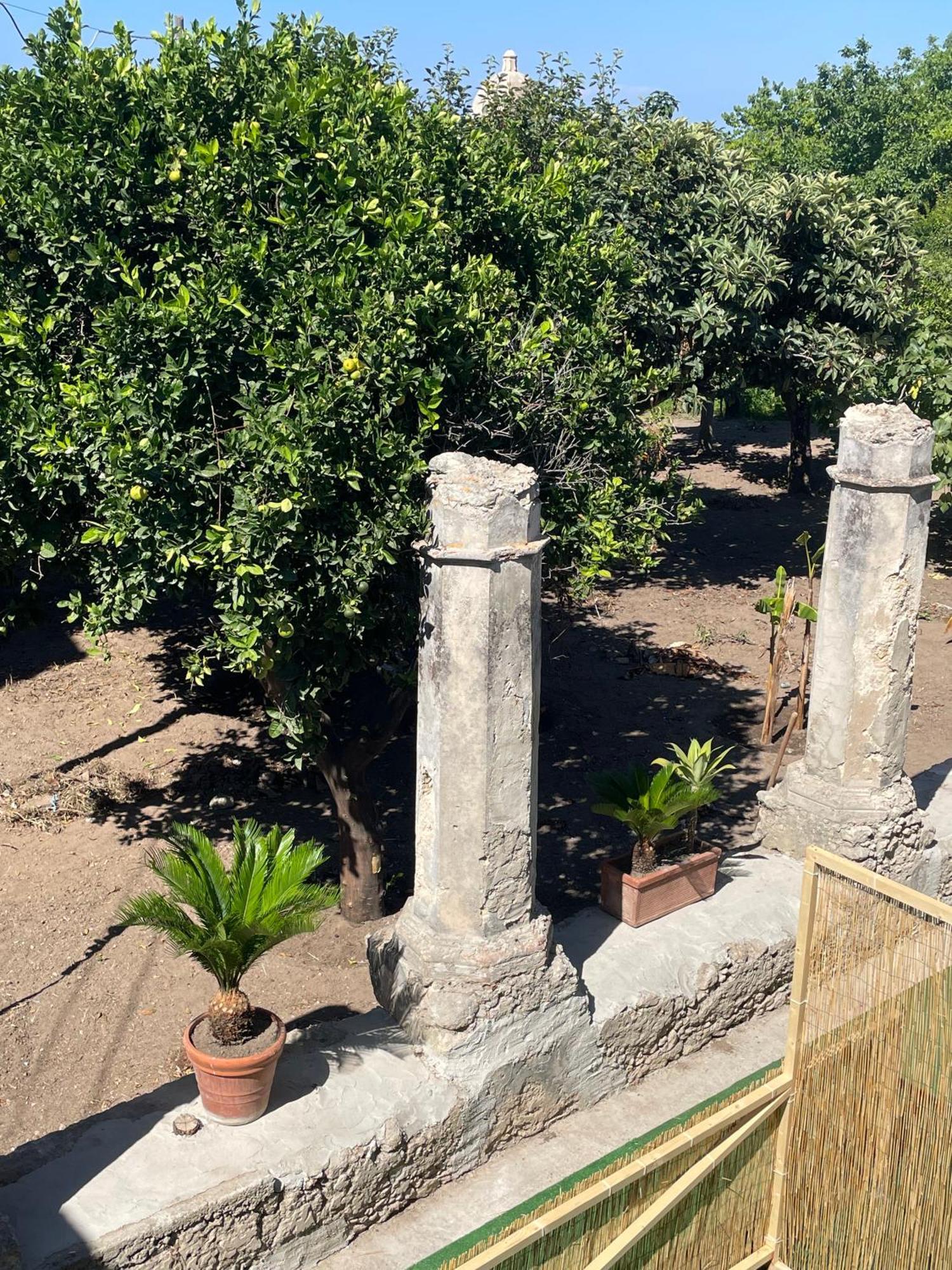 Tenuta La Torre Tropea Exterior foto